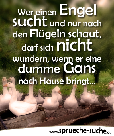 Wer einen Engel sucht und nur nach den Flügeln schaut, darf sich nicht wundern, wenn er eine dumme Gans nach Hause bringt.