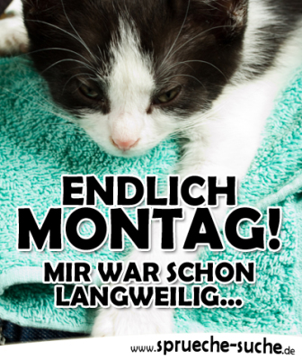 Endlich Montag! Sprüche nach dem Wochenende