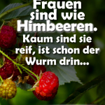 Frauen sind wie Himbeeren. Kaum sind sie reif, ist schon der Wurm drin.