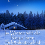 Im Winter hält die Natur ihren Schönheitsschlaf