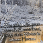 Wer sich im Sommer über die Sonne freut, trägt sie im Winter in seinem Herzen.