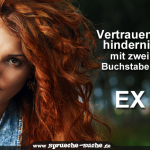 Vertrauenshindernis mit zwei Buchstaben: E X