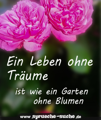 Ein Leben ohne Träume ist wie ein Garten ohne Blumen