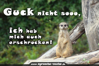 Guck nicht so, ich hab mich auch erschrocken!