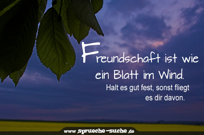 34++ Spruch wein freunde , Sprüche Freundschaft ist wie ein Blatt im Wind. Halt es gut fest, sonst fliegt es dir davon