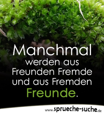 Fremde & Freunde Sprüche über Freundschaft