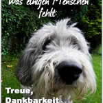 Hunde haben etwas, was einigen Menschen fehlt: Treue, Dankbarkeit und Charakter!