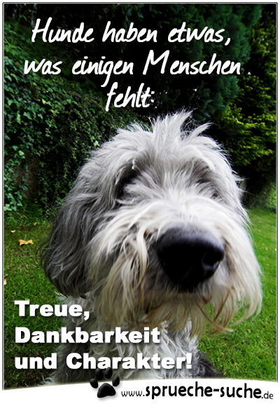 Hunde Treue Dankbarkeit Und Charakter Sprüche Zum