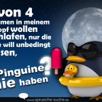 3 von 4 Stimmen in meinem Kopf wollen schlafen, nur die eine will unbedingt wissen, ob Pinguine Knie haben?