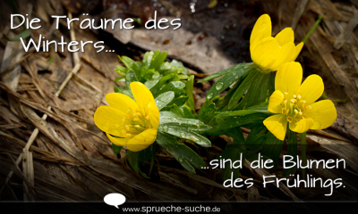 Die Träume des Winters sind die Blumen des Frühlings.