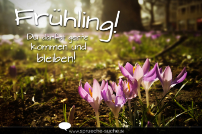 Frühling! Du darfst gerne kommen und bleiben!