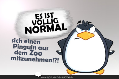 Pinguin aus dem Zoo mitnehmen... Lustige Sprüche mit Bildern