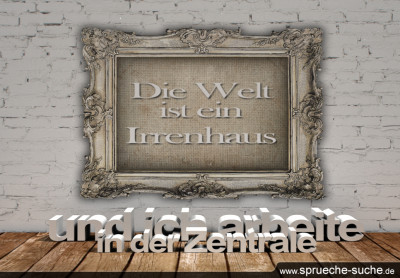 Die Welt ist ein Irrenhaus und ich arbeite in der Zentrale.