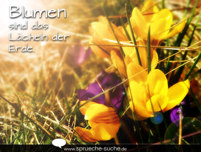 Blumen sind das Lächeln der Erde.