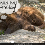 Sprüche Donnerstag - Endlich bald Freitag