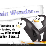 Spruch mit Pinguinen beim Sex