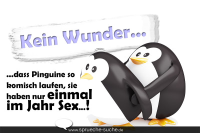 Spruch mit Pinguinen beim Sex