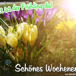 Jetzt ist der Frühling da - Schönes Wochenende wünscht Sprüche-Suche!