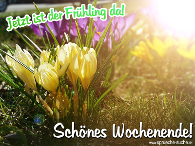 Jetzt ist der Frühling da - Schönes Wochenende wünscht Sprüche-Suche!