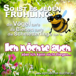 So ist es jeden Frühling: Die Vögel tun's, die Bienen tun's, die Schmetterlinge tun's. Ich möchte auch, aber ich kann nicht fliegen.