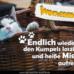 Wochenende! Endlich wieder mit den Kumpels losziehen und heiße Miezen aufreißen