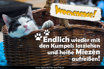 Wochenende! Endlich wieder mit den Kumpels losziehen und heiße Miezen aufreißen