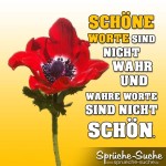 Spruchbild mit Mohnblume