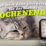 Spruchbild mit müder grauen Katze