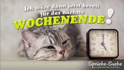 Spruchbild mit müder grauen Katze