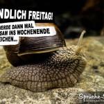 SPruchbild mit Schnecke zum Wochenende