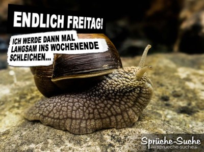 Spruchbild mit Schnecke zum Wochenende