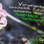 Spruchbild über das Leben ist ein Geschenk mit Biene, die eine Blüte bestäubt.