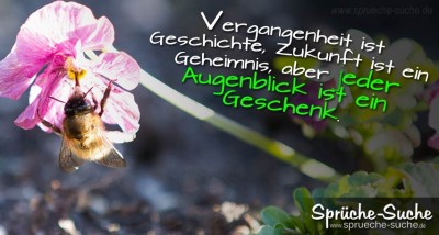 Spruchbild über das Leben ist ein Geschenk mit Biene, die eine Blüte bestäubt.