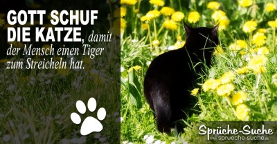 Schwarze Katze im grünen Gras