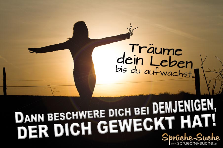 Traume Dein Leben Spruche Lustig Spruche Suche