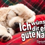 Gute nacht Sprüche mit schlafenden Hund