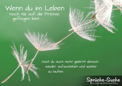 Spruch mit durch die Luft fliegende Löwenzahnsamen