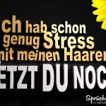 3D Spruch