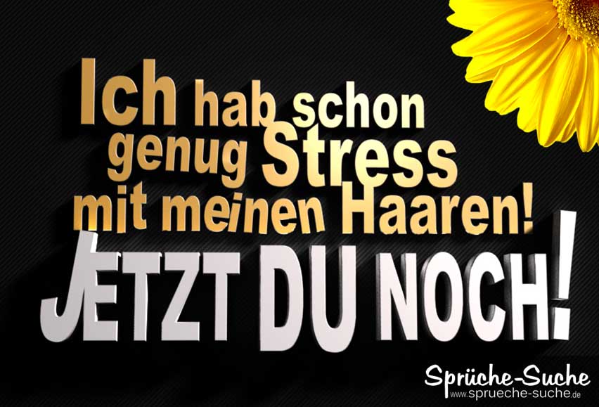 Coole 3d Spruche Ich Hab Schon Genug Stress Mit Meinen Haaren