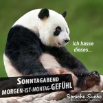 Ende des Wochenendes - Trauriger Pandabär