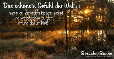 Sonnenaufgang mit Spruch im Moor