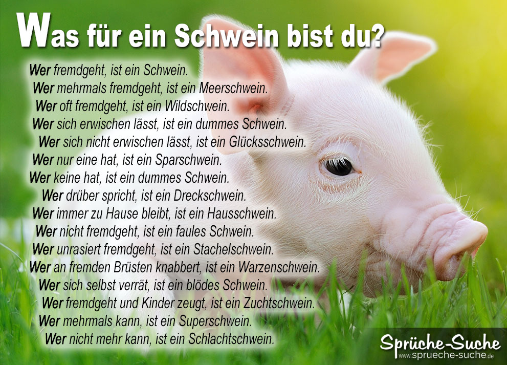 Was für ein Schwein bist du?