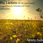 Sonnenschein auf Blumenwiese mit Spruch