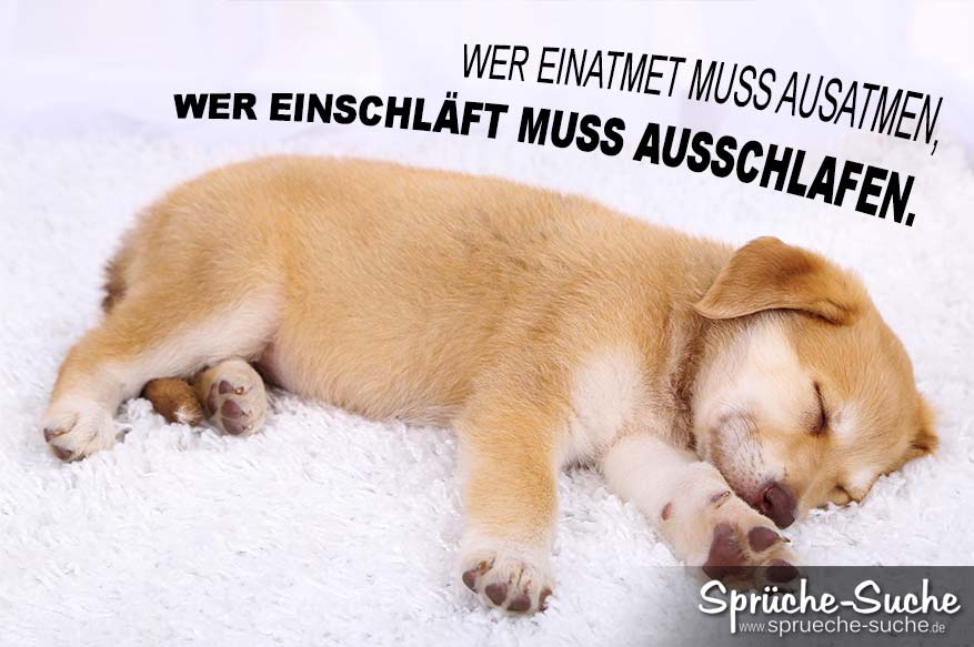 Ich dir schönes hund wünsch wochenende stream deutsche