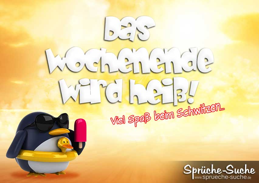 Pinguin Spruche Suche