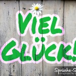 Viel Glück in Grün-Weiß auf Holzwand geschrieben mit Gänseblümchen