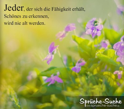 Blüten mit Wassertropfen