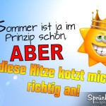 Lustiges Spruchbild über die unangenehme Sommerhitze