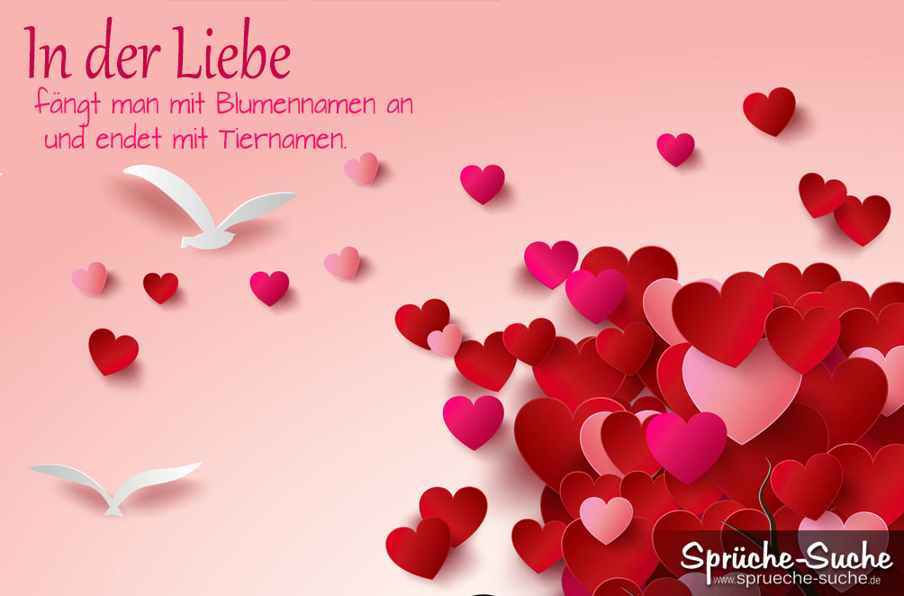 Liebe Sprüche Blumen Und Tiernamen Sprüche Suche