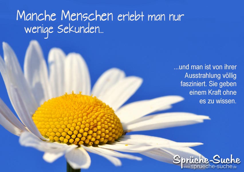 Menschen Aufmunterung Spruch Spruche Suche